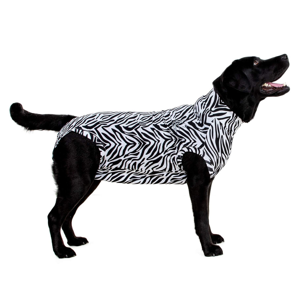MPS Medical Pet Shirt Dog, Surgery Recovery Suits, Zebra-Print, XX-Large XXL - PawsPlanet Australia