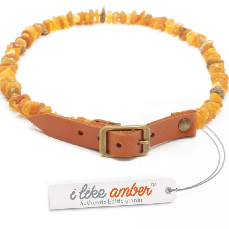 Amber Tick & Flea Collar for Dogs and Cats - size 20cm - 76cm on Amazon - made from 100% Genuine Raw Baltic Amber - Flea & Tick Protection - 100% Natural & Free of chemicals PNL_MLT.20-22 20-22cm - PawsPlanet Australia