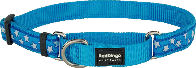 Red Dingo Martingale Collar, 32-47 cm x 20 mm, White Stars on Turquoise Medium - PawsPlanet Australia