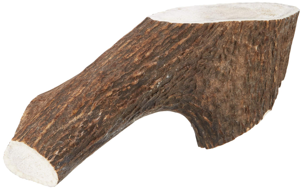 Antos Antler Natural Dog Chew (Size: Extra Large), clear - PawsPlanet Australia