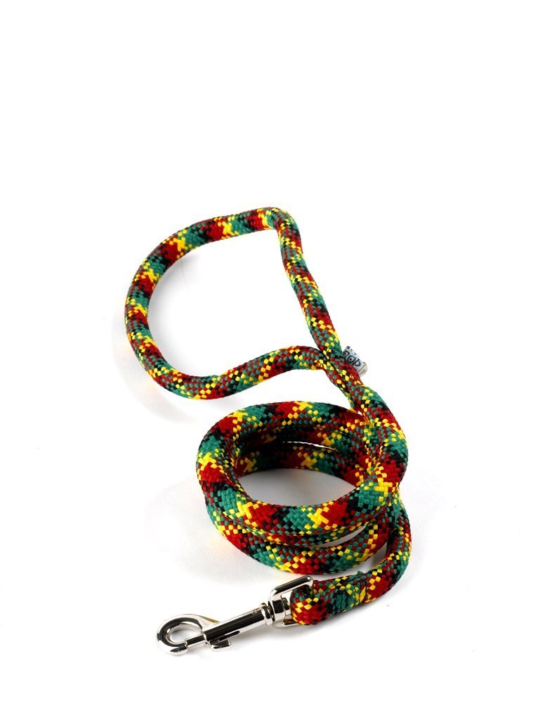 Yellow Dog Design Braided Dog Lead, 48 x 3/4-inch, Stunning Rasta - PawsPlanet Australia