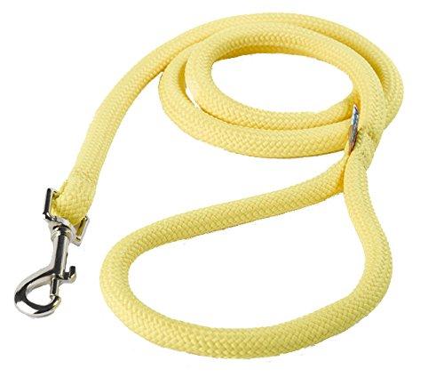 Yellow Dog Design Braided Dog Lead, 48 x 3/4-inch, Bright Yellow - PawsPlanet Australia