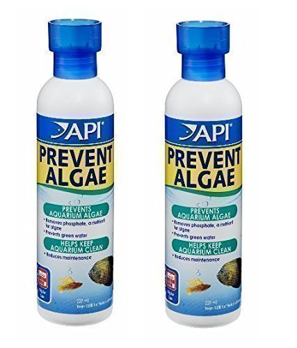 Aquarium Fish Tank Anti Algae Treatment API Prevent 237ml ALGAE KILLER Pack Of 2 - PawsPlanet Australia