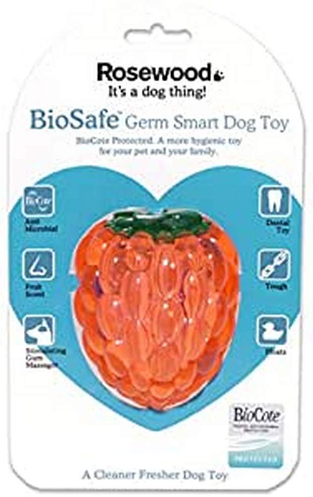 Rosewood Raspberry BioSafe Dog Toy - PawsPlanet Australia