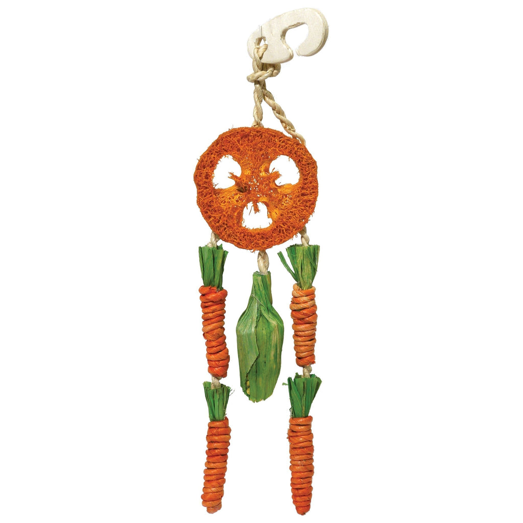 Rosewood Boredom Breaker Carrot Dream Catcher for Small Animals, clear Single - PawsPlanet Australia