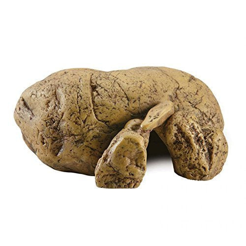 Exo Terra Reptile Hiding Cave, Small - PawsPlanet Australia
