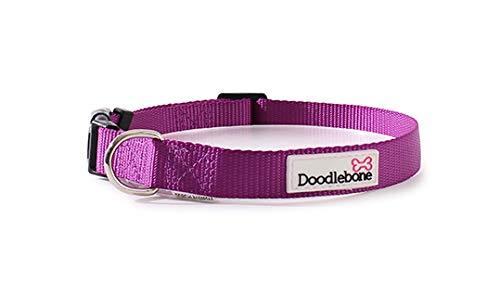 Doodlebone Bold Dog Collar (Medium, Purple) - PawsPlanet Australia