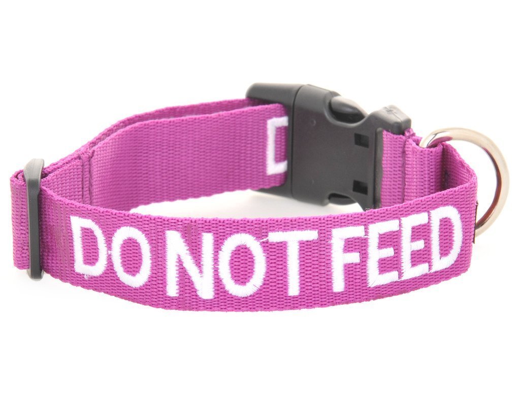 DO NOT FEED (Dog is on a Diet/Has Food Allergies) Purple Colour Coded S-M L-XL Dog Collars PREVENTS Accidents By Warning Others Of Your Dog In Advance (S-M) Small-Medium Collar - PawsPlanet Australia