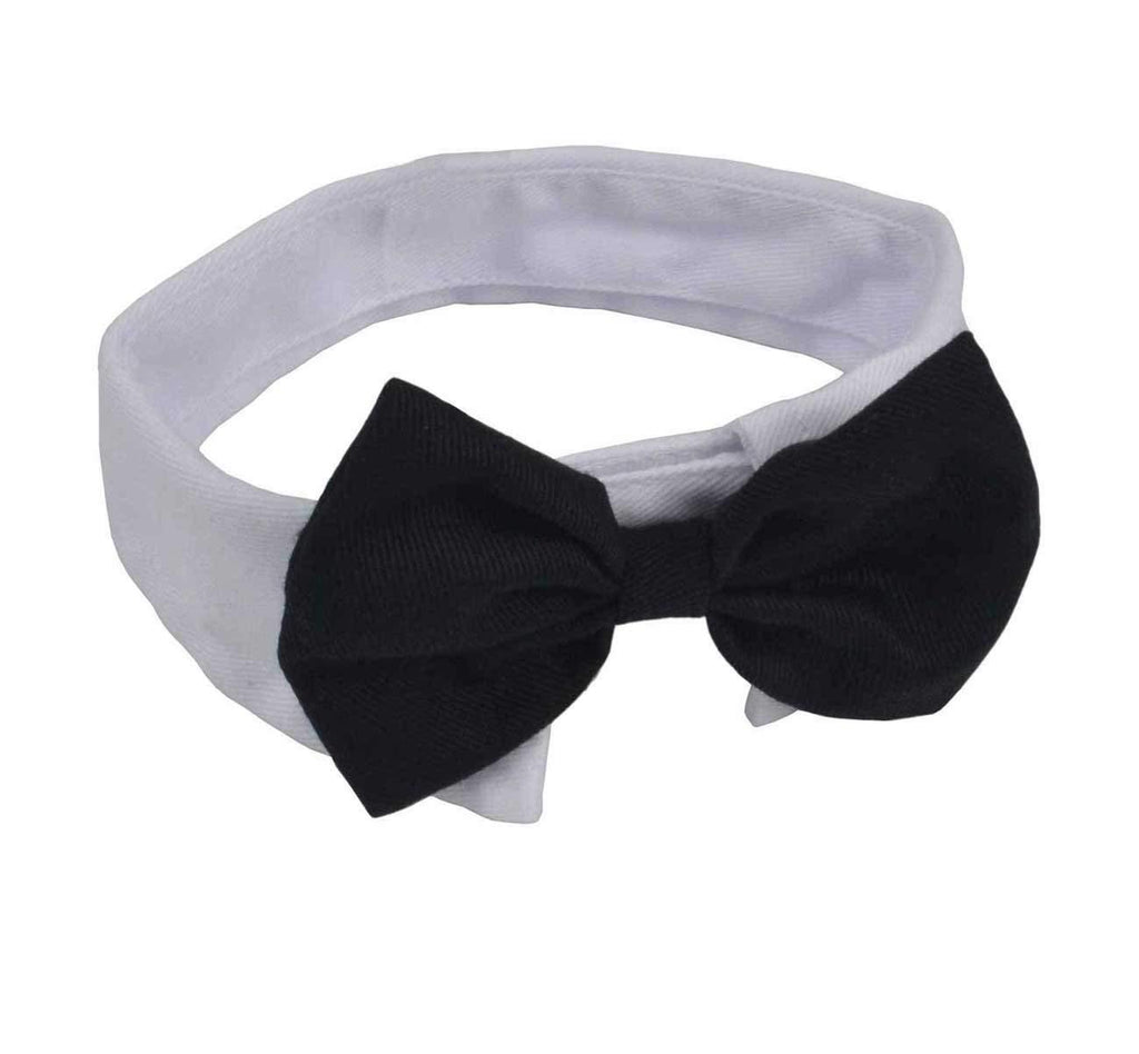 [Australia] - Heypet Adjustable Bow Tie Dog Collar for Small Medium Large Dogs and Cats DCL01 black 1 