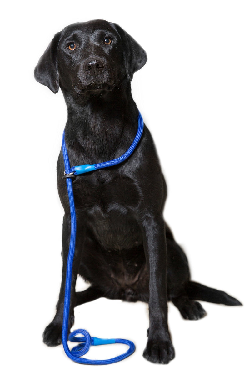Dog & Field Deluxe Gundog Slip Lead (Blue) Super Soft Braided Nylon with Rubber Stopper - One Size Fits All and Suitable For All Breeds of Dog with 4 Colour Options (Blue) Blue - PawsPlanet Australia