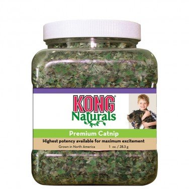 Kong Catnip Premium 1oz - Single - PawsPlanet Australia