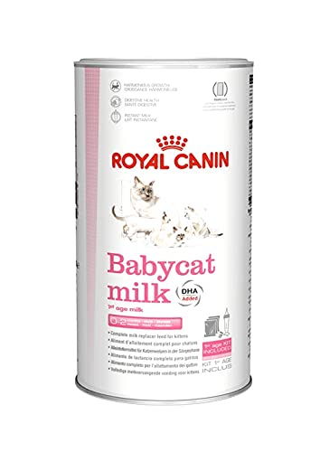ROYAL CANIN BabyCat Milk 300g - PawsPlanet Australia