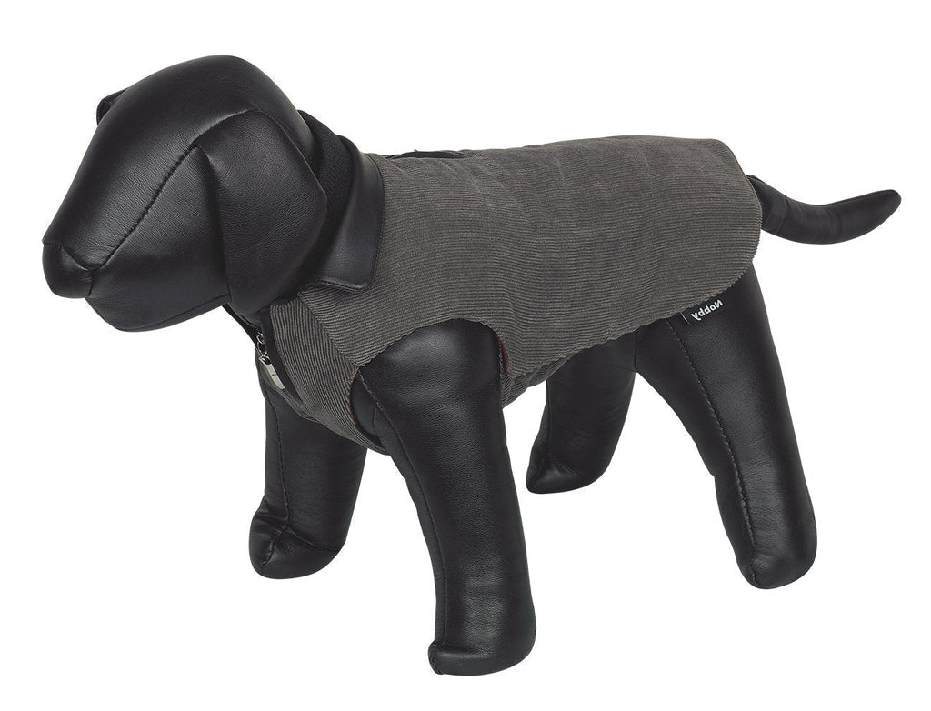 Nobby Corduro Dog Coat, 48 cm, Grey - PawsPlanet Australia