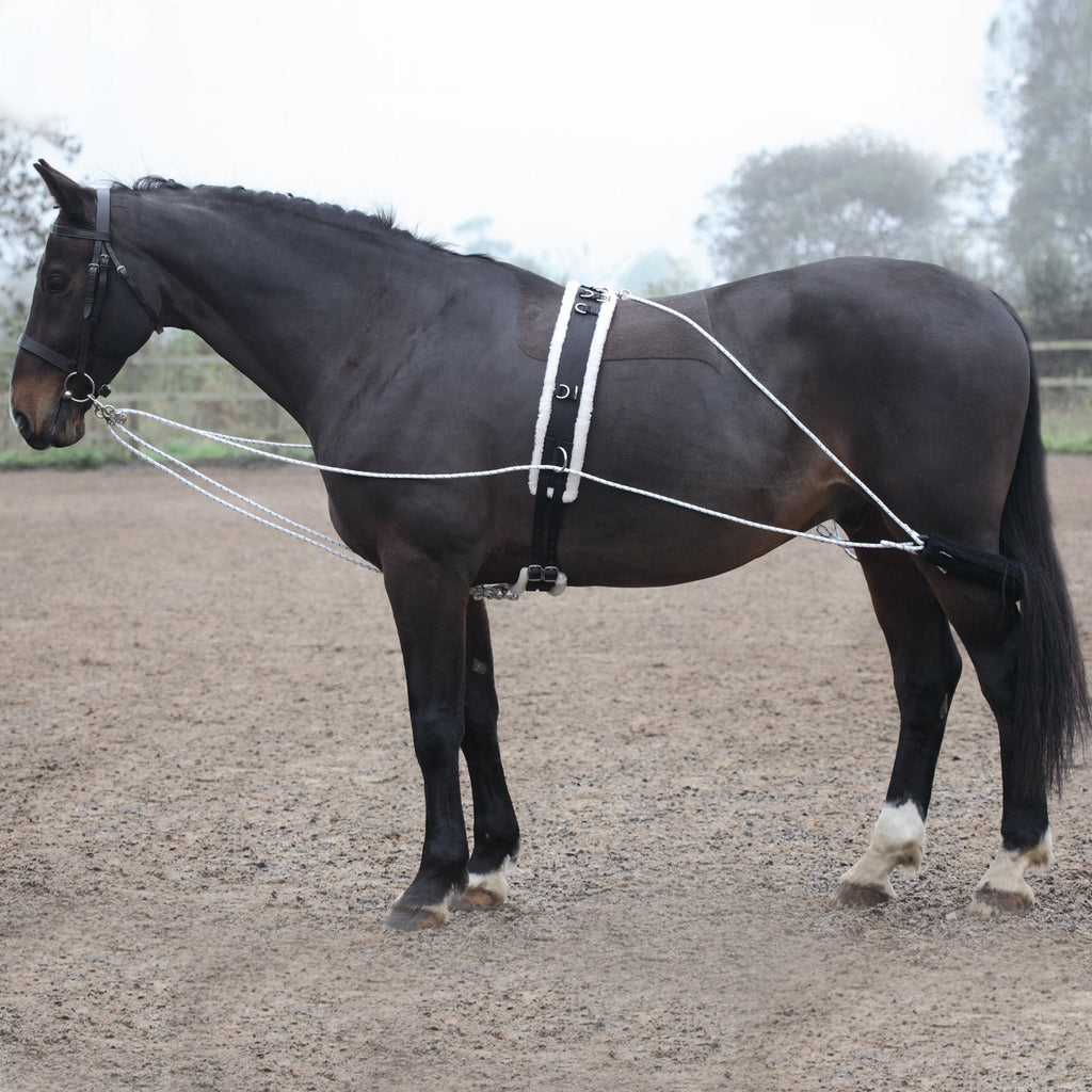 Shires Lunging Aid One Size Black - PawsPlanet Australia