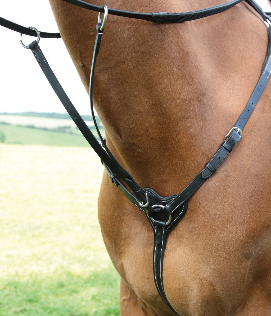 Shires Salisbury 3 Point Breastplate-Black/Silver Cob - PawsPlanet Australia