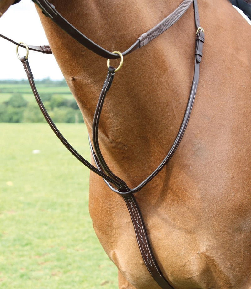 Shires Salisbury Running Martingales Australian Nut Cob - PawsPlanet Australia