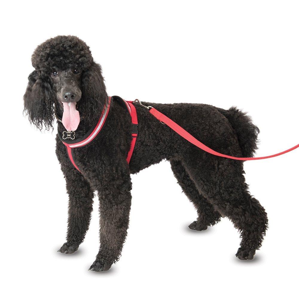 COA Comfy Harness, Toy - PawsPlanet Australia