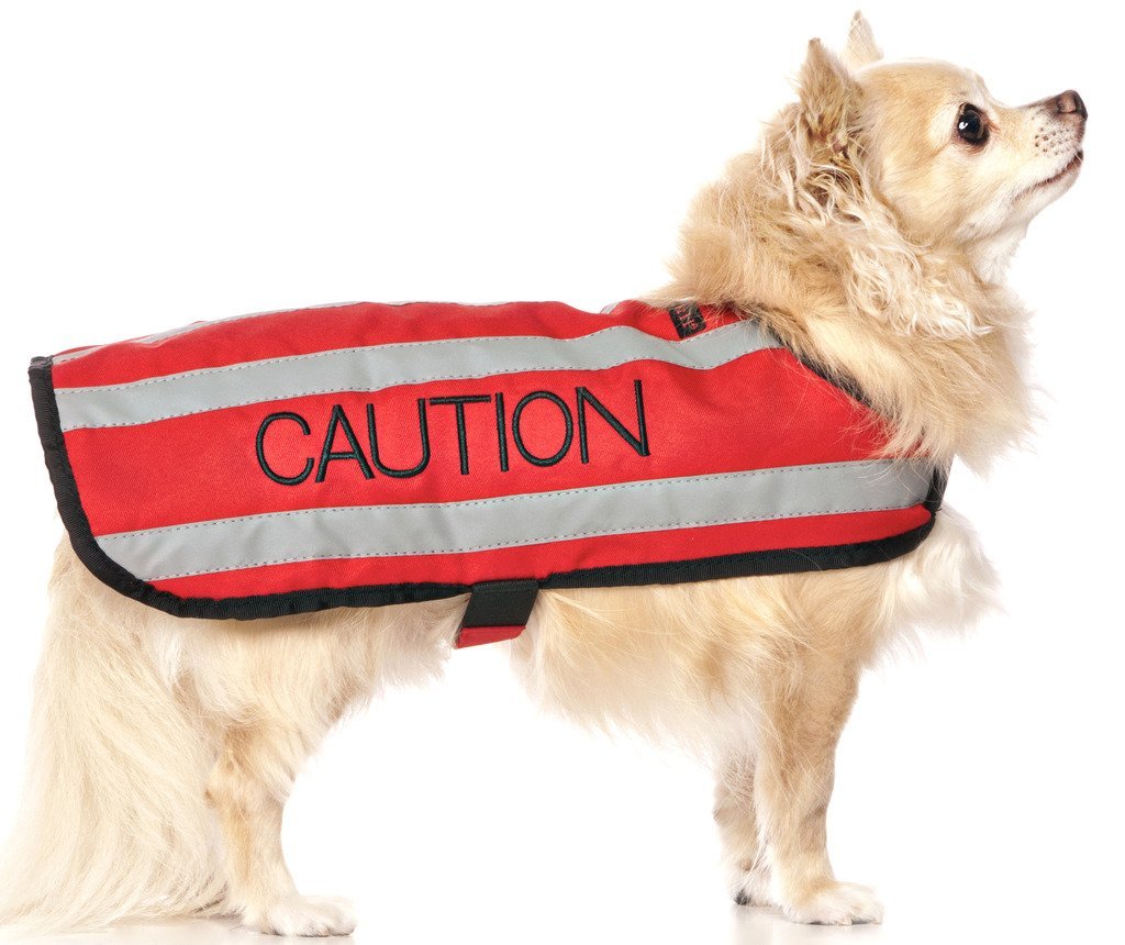 CAUTION (Do Not Approach) Red Colour Coded S M L Reflective Waterproof Fleece Lined Warm Dog Coats PREVENTS Accidents By Warning Others Of Your Dog In Advance (S) Small Coat - PawsPlanet Australia