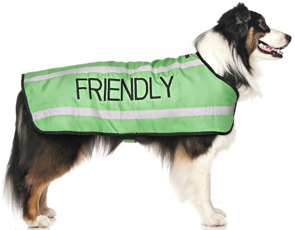 Dexil Limited Friendly Green Warm Dog Coats S-M M-L L-XL Waterproof Reflective Fleece Lined (Known as Friendly) Prevents Accidents by Warning Others of Your Dog in Advance (L-XL Back 23" (59cm) L-XL Back 23" (59cm) - PawsPlanet Australia