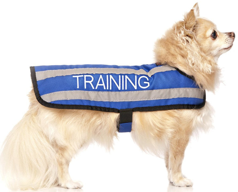 TRAINING (Dog In Training/Do Not Disturb) Blue Colour Coded S M L Reflective Waterproof Fleece Lined Warm Dog Coats PREVENTS Accidents By Warning Others Of Your Dog In Advance (S) Small Coat - PawsPlanet Australia