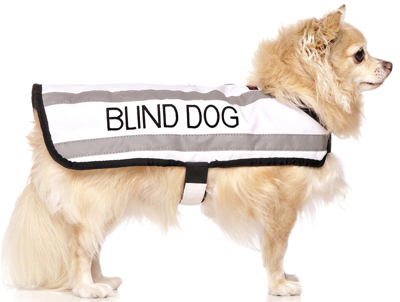 BLIND DOG (Dog Has Limited/No Sight) White Colour Coded S M L Reflective Waterproof Fleece Lined Warm Dog Coats PREVENTS Accidents By Warning Others Of Your Dog In Advance (S) Small Coat - PawsPlanet Australia