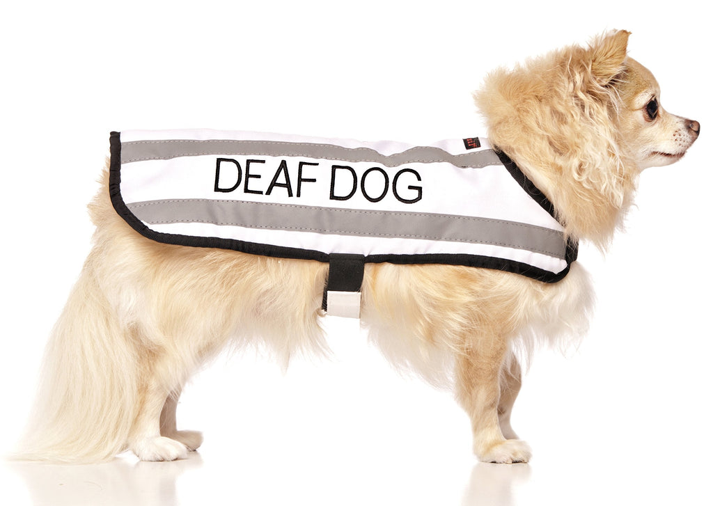 DEAF DOG (Dog Has Limited/No Hearing) White Colour Coded S M L Reflective Waterproof Fleece Lined Warm Dog Coats PREVENTS Accidents By Warning Others Of Your Dog In Advance (S) Small Coat - PawsPlanet Australia