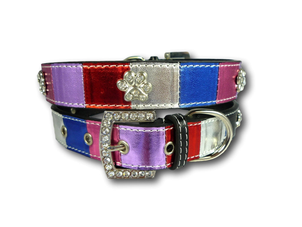 Cara Mia Dogwear Metallic Multi Coloured Paw Stud Collar with Diamante Buckle (Small) Small - PawsPlanet Australia