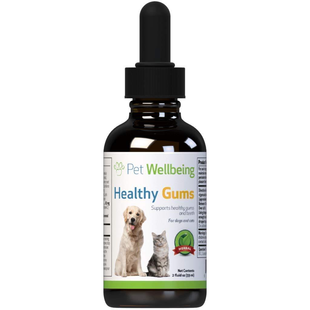 Pet Wellbeing Healthy Gums - Dog Periodontal Health - A Natural, Herbal Supplement For Healthy Gums, Teeth And Breath 2 Ounces - PawsPlanet Australia