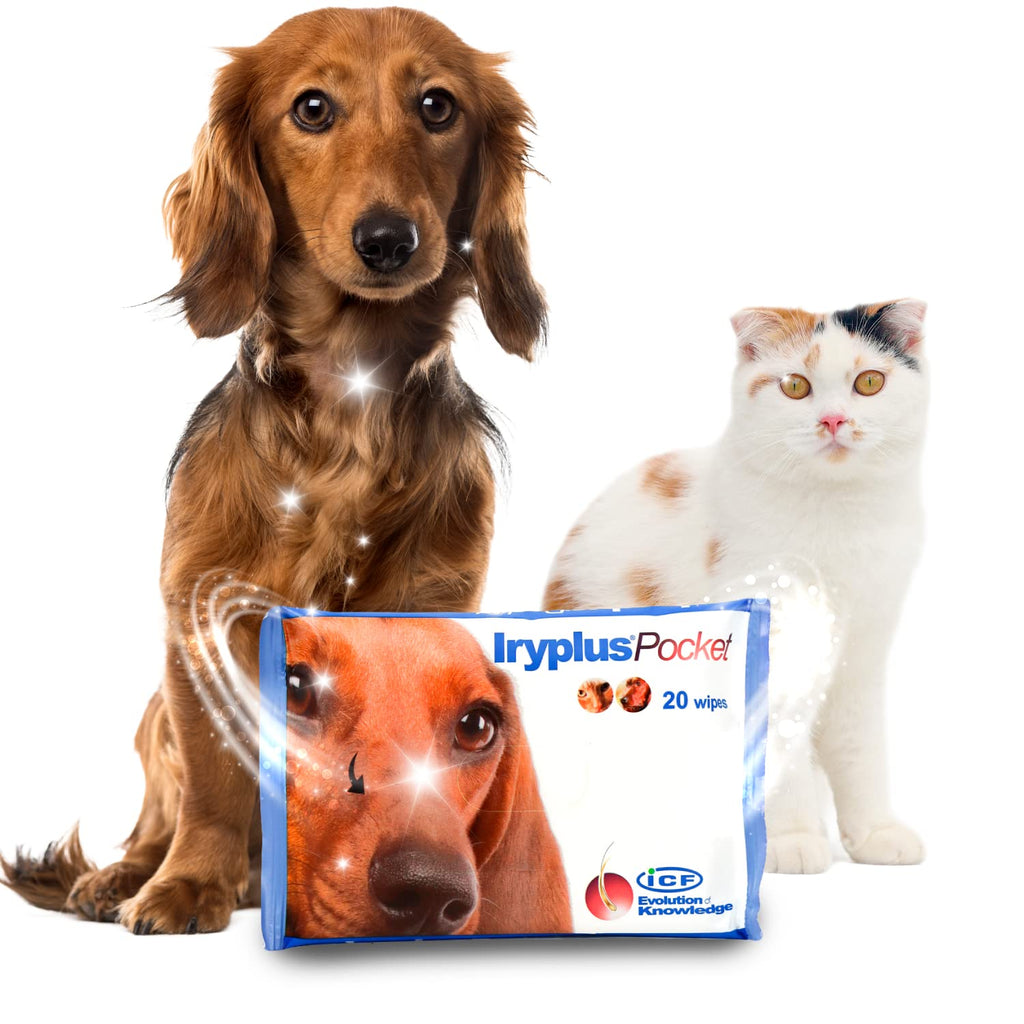 Iryplus Eye Wipes for Dogs & Cats - Dog Grooming Eye Care & Tear Stain Remover - Small Pocket Size Wipes - 20 Pack - PawsPlanet Australia