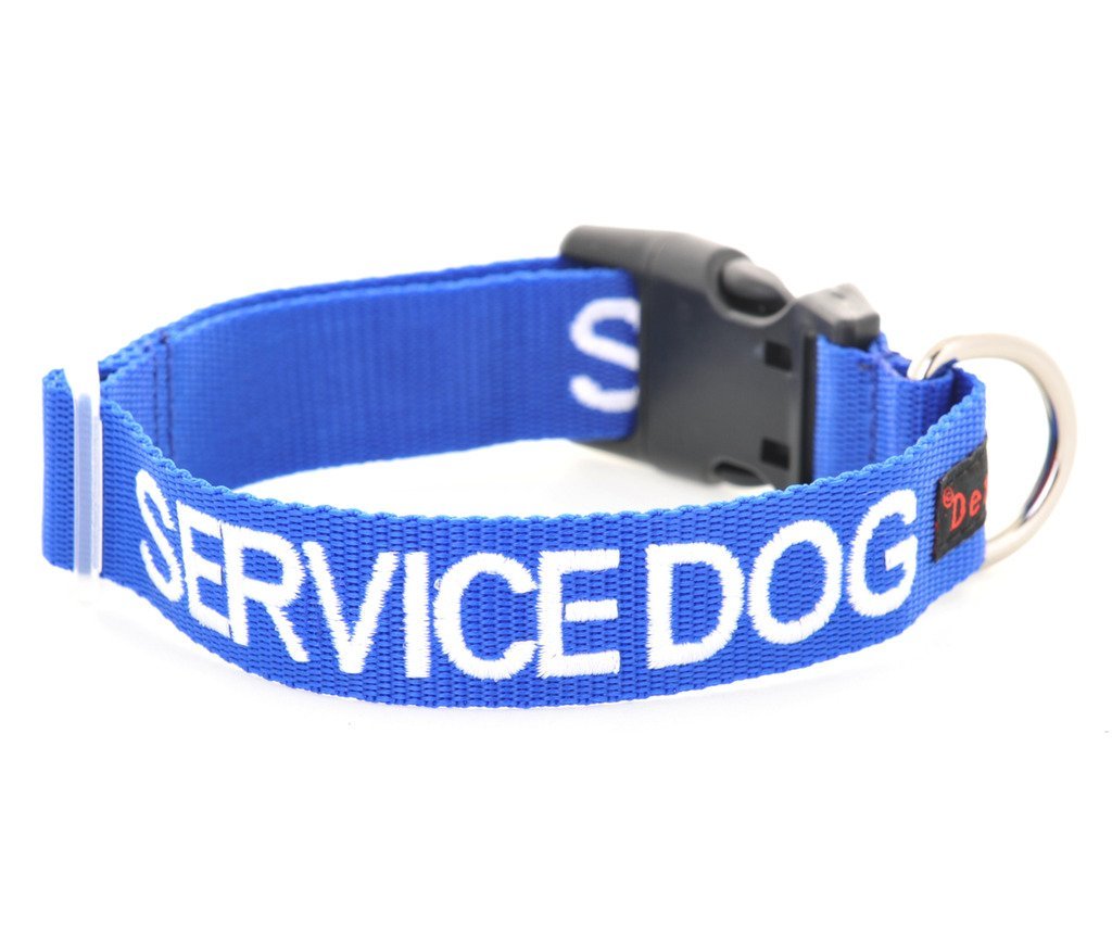 SERVICE DOG (Do Not Disturb/Dog Is Working) Blue Colour Coded S-M L-XL Dog Collars PREVENTS Accidents By Warning Others Of Your Dog In Advance (S-M) Small-Medium Collar - PawsPlanet Australia