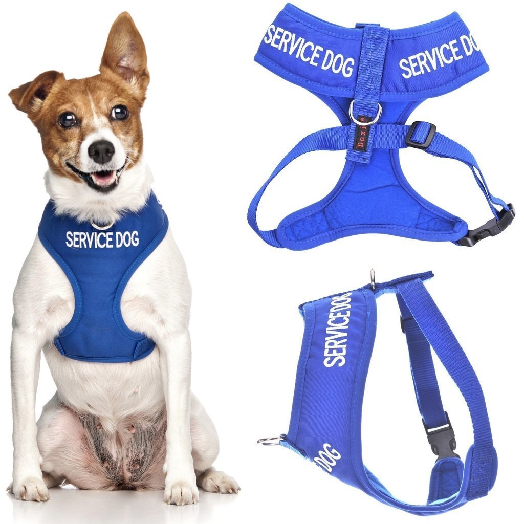 [Australia] - SERVICE DOG (Do Not Disturb/Dog Is Working) Blue Color Coded Non-Pull Front and Back D Ring Padded and Waterproof Vest Dog Harness PREVENTS Accidents By Warning Others Of Your Dog In Advance Small Harness 15-24inch Chest/Girth 