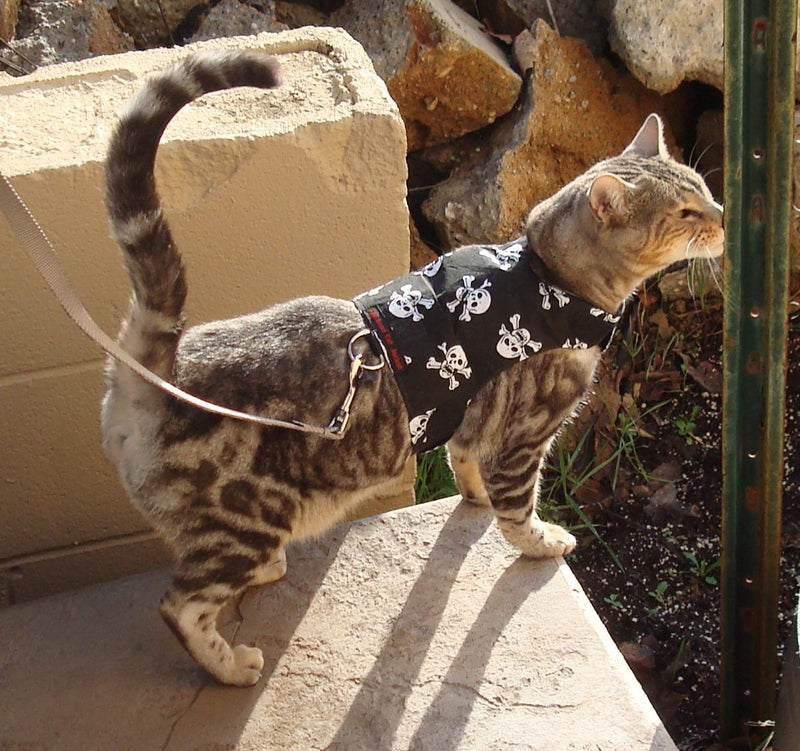 Mynwood Cat Jacket/Harness Skulls Kitten up to 8month - PawsPlanet Australia