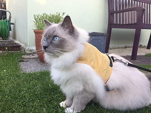 Mynwood Cat Jacket/Harness Caramel Adult Cat - PawsPlanet Australia