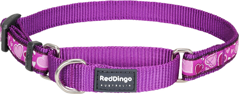 Red Dingo Breezy Love Martingale Dog Collar (20mm x 32-47cm), M Medium - PawsPlanet Australia