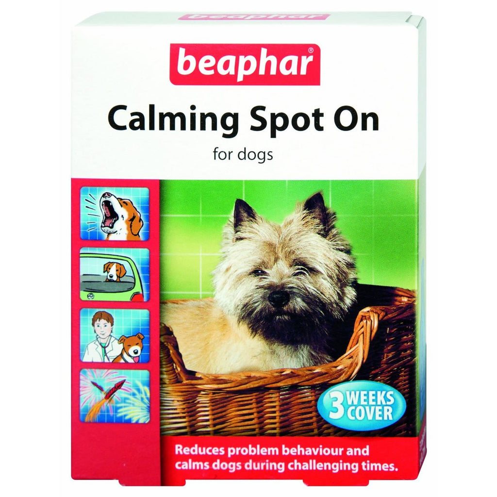 (2 Pack) Beaphar - Calming Dog Spot On - PawsPlanet Australia