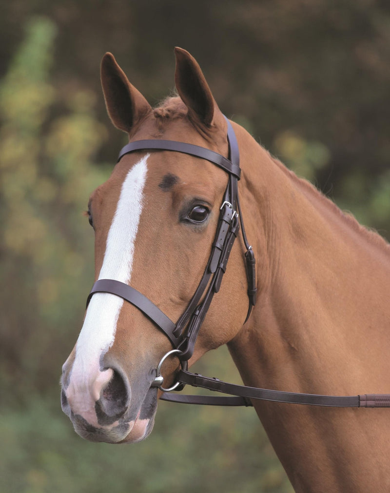 Shires Aviemore Plain Bridle With Rubber Grip Reins - Black Mini - PawsPlanet Australia