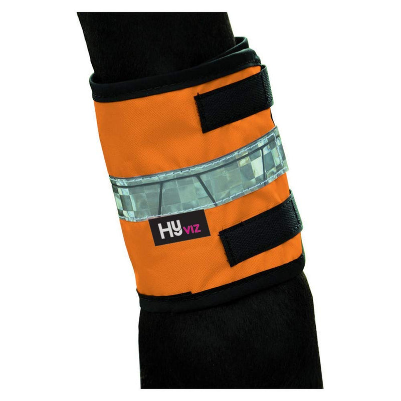 HyVIZ Leg Bands - High Visibility/Safety_simple - PawsPlanet Australia