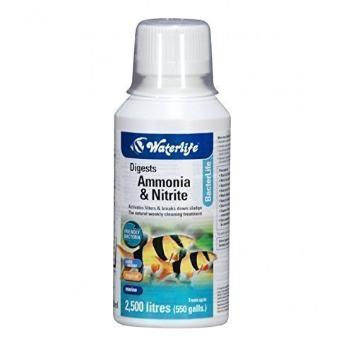 Ammonia & Nitrite Remover for All Aquariums Bacterlife 250ml Activates Filters - PawsPlanet Australia