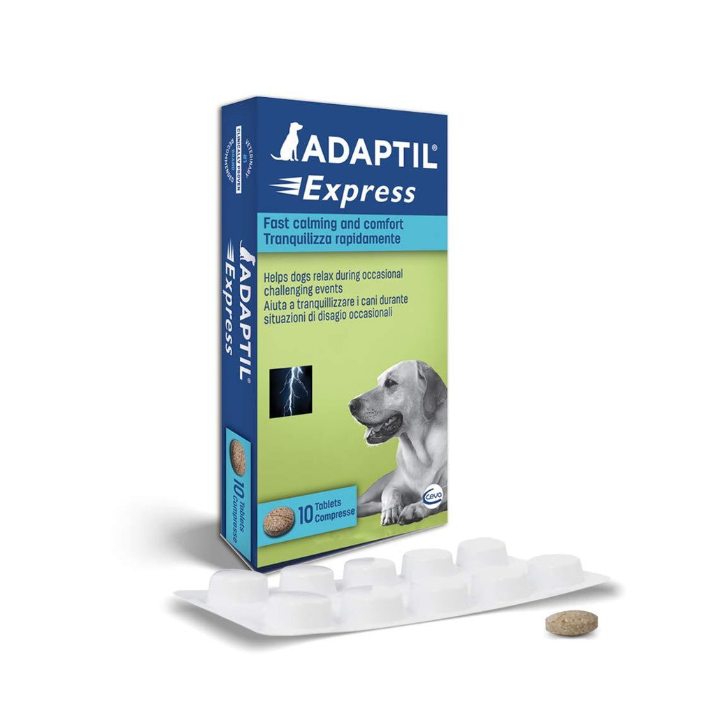ADAPTIL Express Tablets, fast calming for anticipated events such as thunderstorms, vet visits, groomers and fireworks - Pack of 10 tablets - PawsPlanet Australia