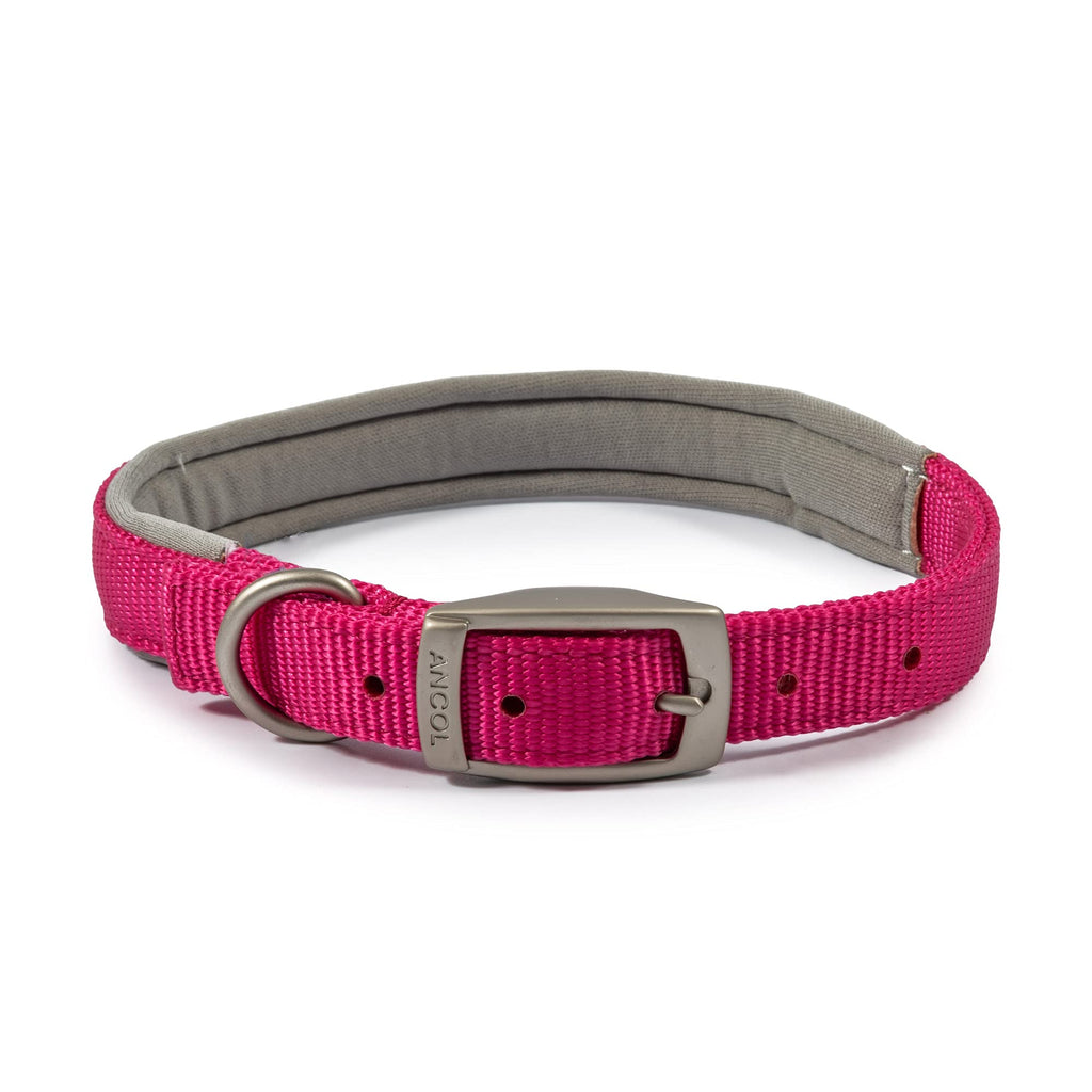 Ancol Viva Padded Soft Touch Weather Proof buckle collar in Pink, Fits neck 39-48 cm, Collar Size 5 Raspberry 50 cm - PawsPlanet Australia
