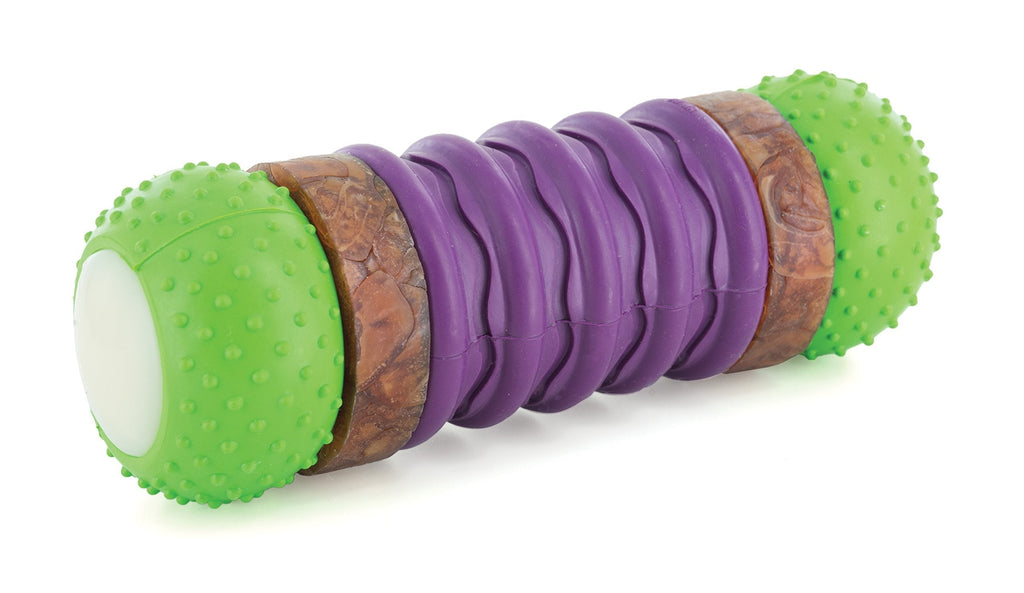 PetSafe Busy Buddy Ultra Stratos M Durable Dog Chew Toy, Dog Toy with Treat, Medium Sized Dogs purple. Green - PawsPlanet Australia