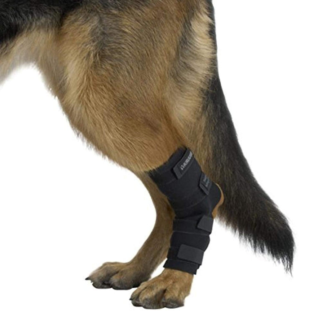 Kruuse Rehab Hock Protector for Dogs, Small S - PawsPlanet Australia