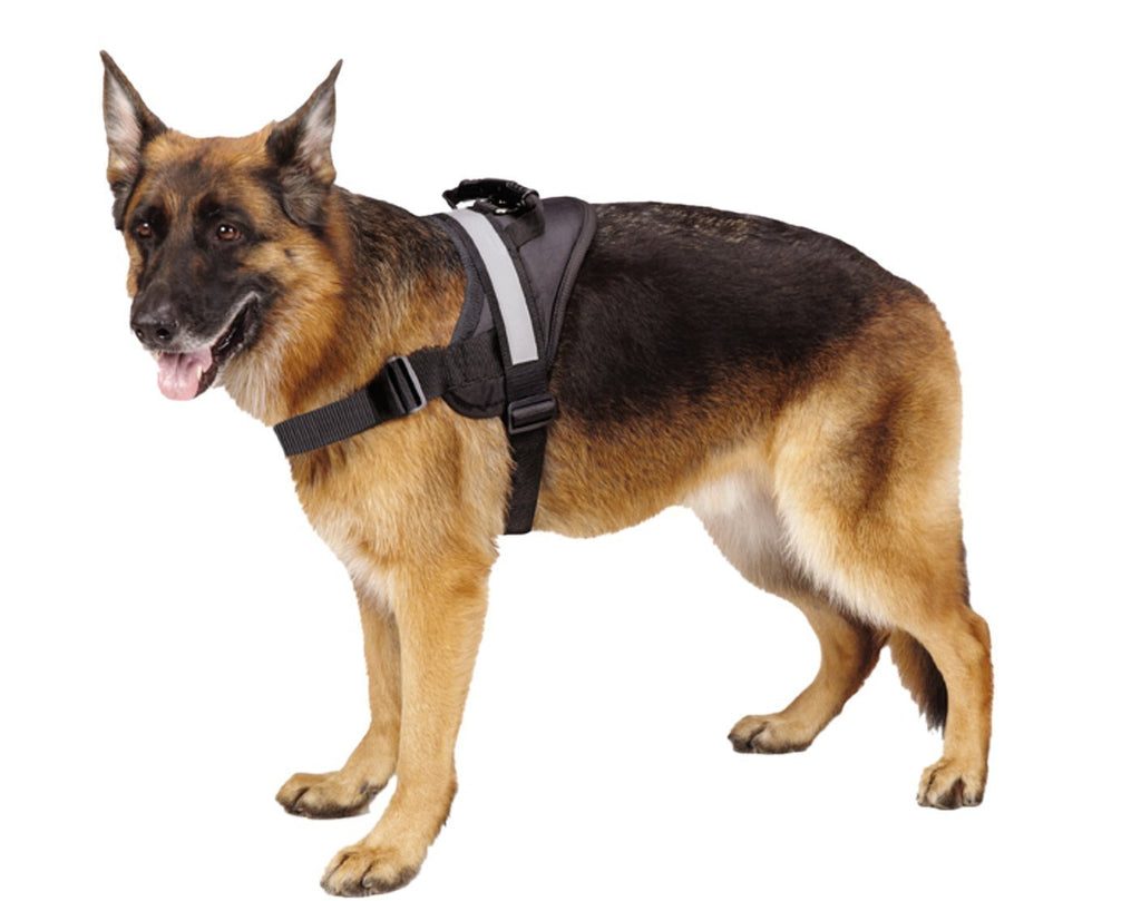 [Australia] - EXPAWLORER Big Dog Harness Soft Reflective No Pull Vest for Medium to Large Dogs L Black 