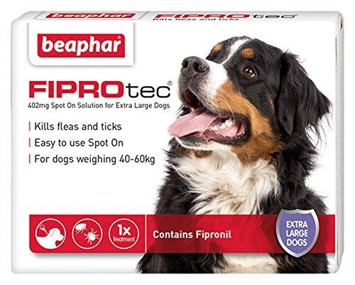 Beaphar FIPROtec Spot on Extra Large Dog 1 Pipette Pack of 1 - PawsPlanet Australia