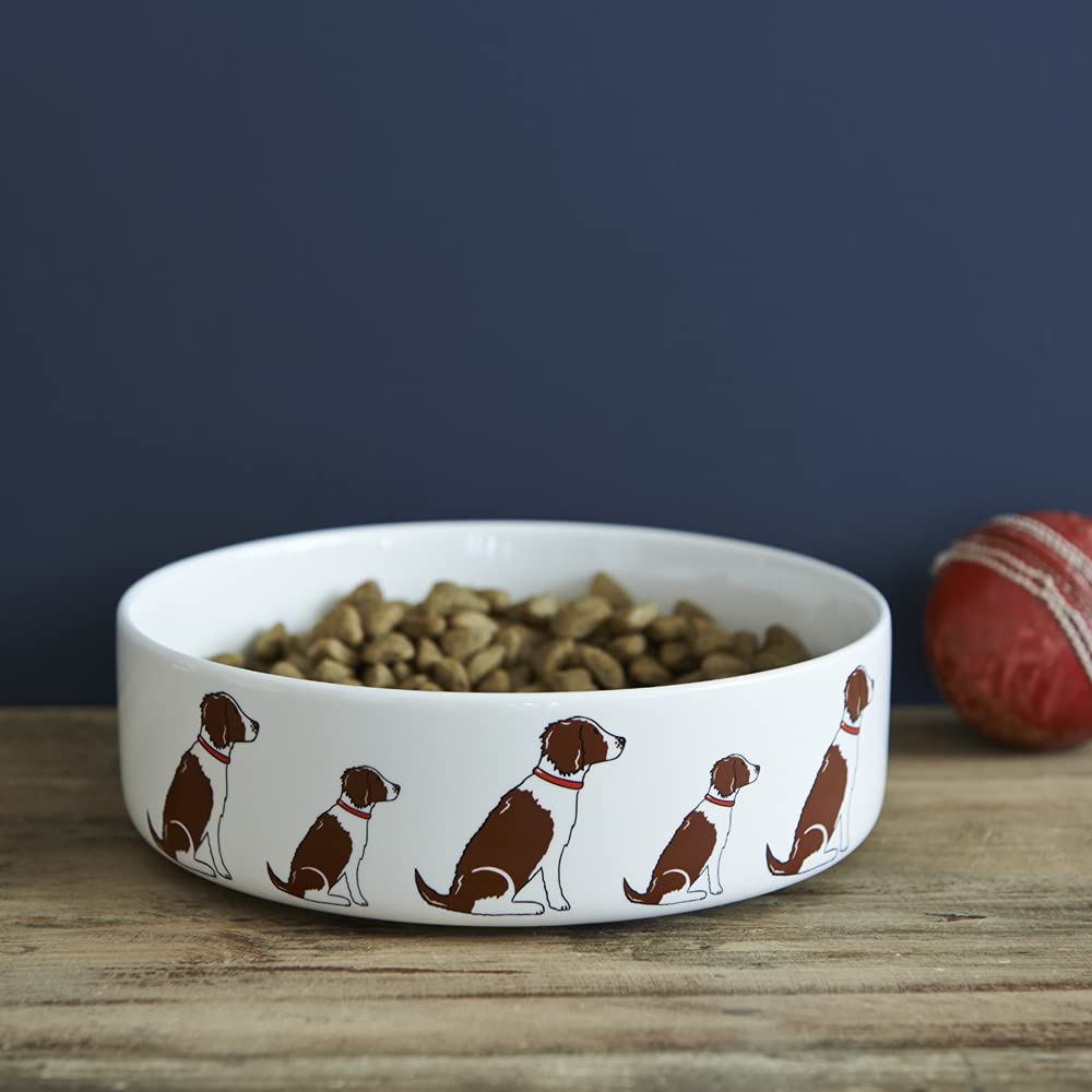 Springer Spaniel dog bowl - PawsPlanet Australia