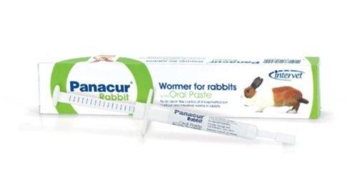 Panacur Wormer Paste for Rabbits Syringe, 5 g - PawsPlanet Australia