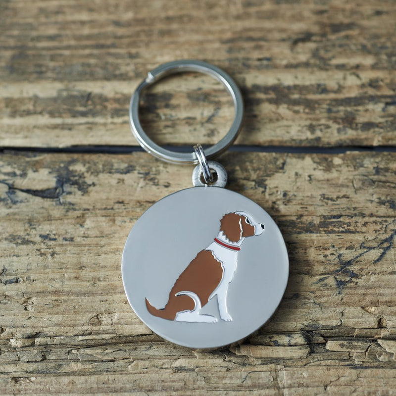 Springer Spaniel dog tag - PawsPlanet Australia