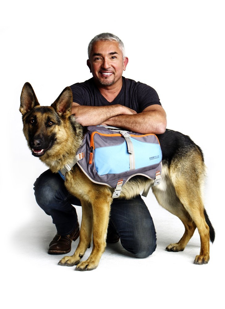 Cesar Millan Dog Backpack (Small, Blue) Small - PawsPlanet Australia