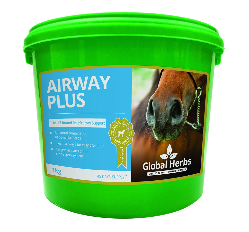 Global Herbs Airwayplus Powder (1KG) - PawsPlanet Australia