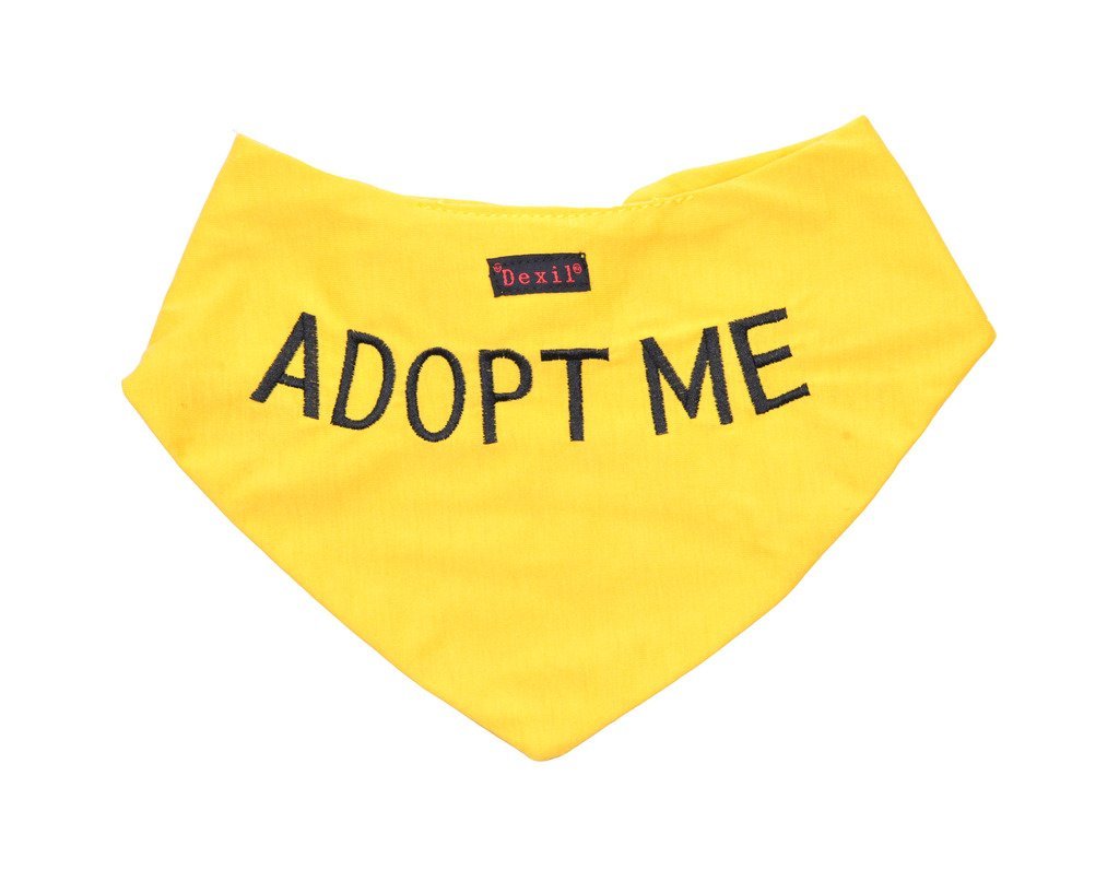 ADOPT ME Yellow Dog Bandana Quality Personalised Embroidered Message. Neck Scarf Fashion Accessory. PREVENTS Accidents By Warning Others Of Your Dog In Advance - PawsPlanet Australia